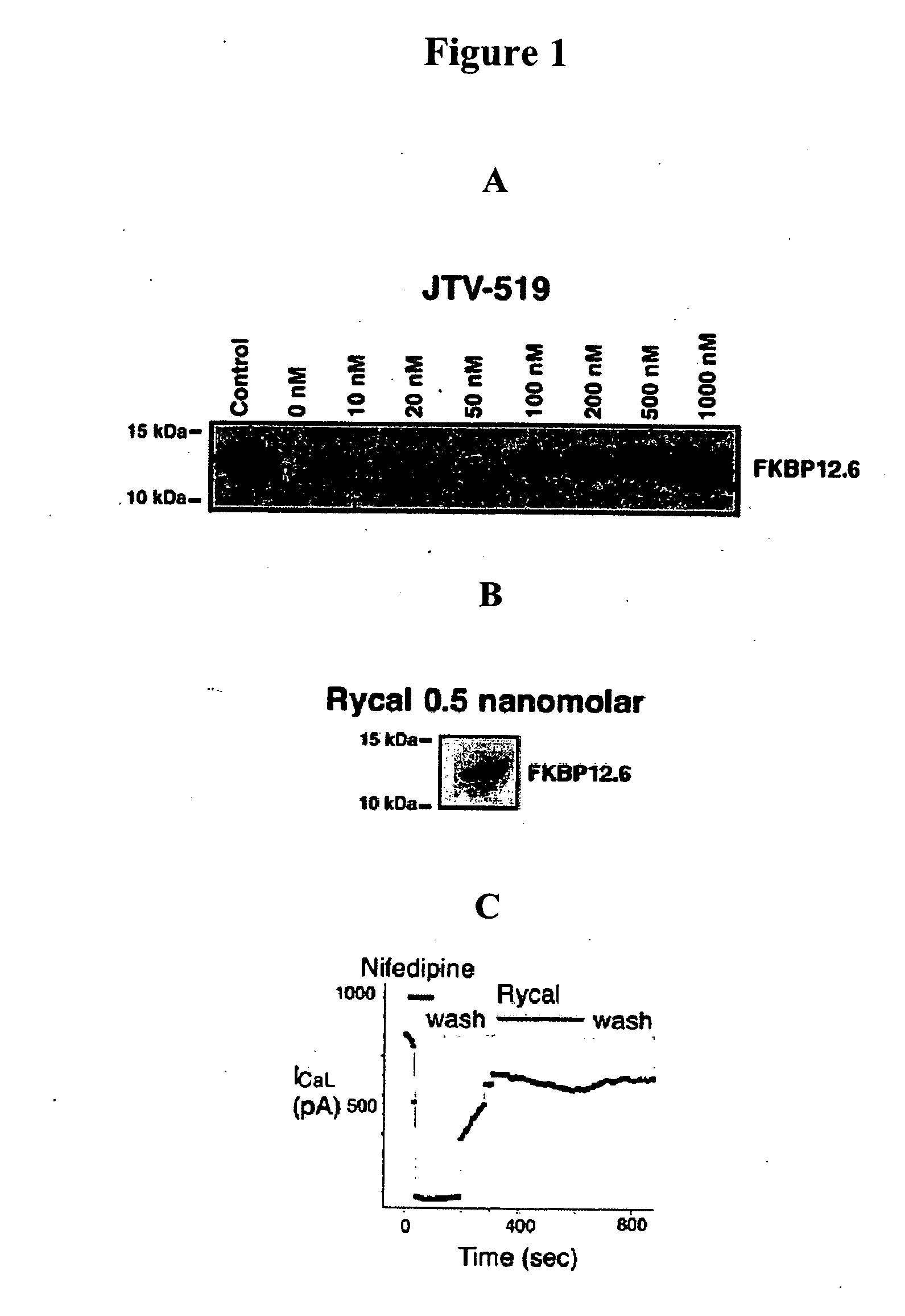 Novel agents for preventing and treating disorders involving modulation of the RyR receptors