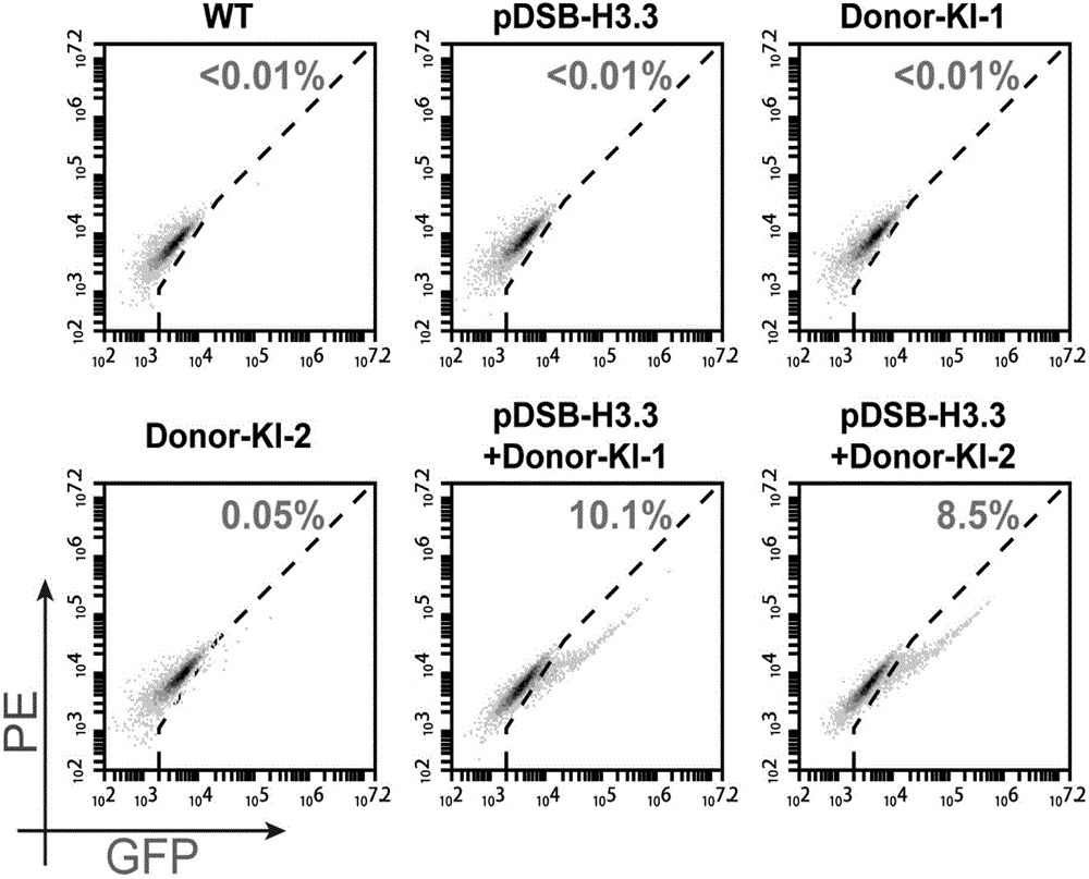 Gene modifying method for reserved locus of cell genome