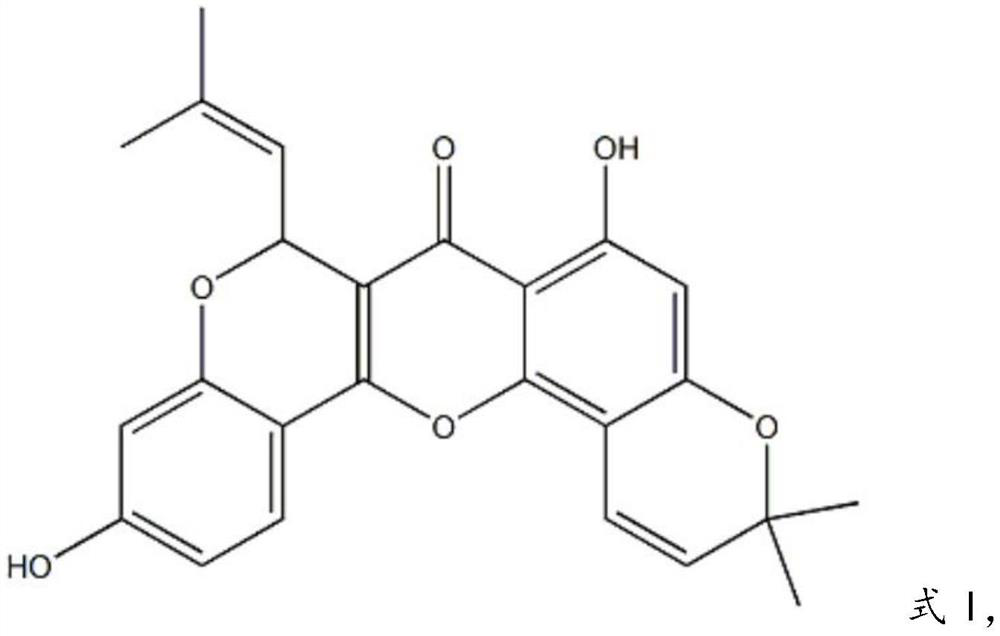 A kind of pharmaceutical composition for treating duodenal ulcer