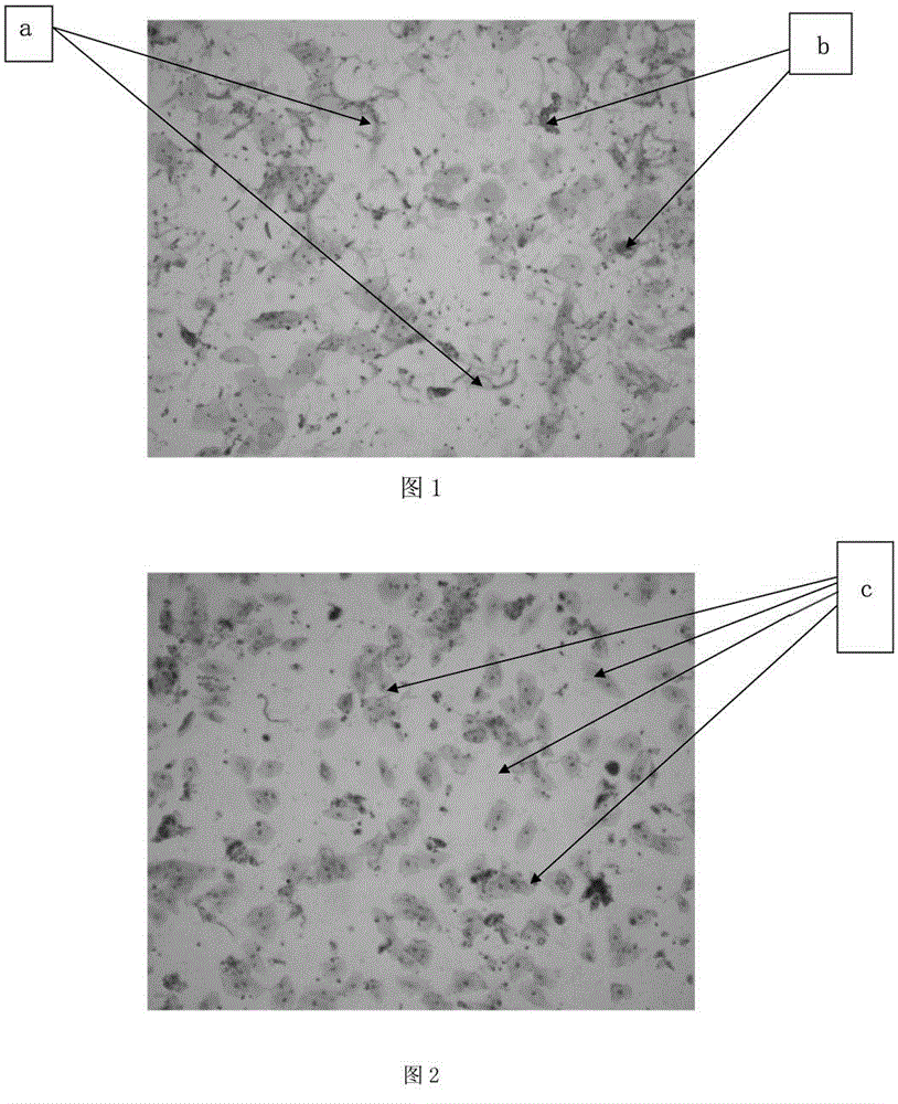 Mucus treating fluid and application thereof