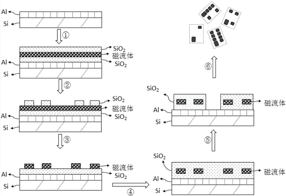 Magnetic microchip with graphic coding and preparation method and application thereof