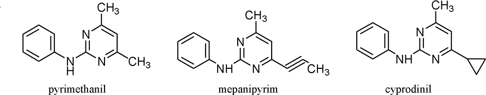 Trifluoromethylpyrimidine-containing ammonia compound, preparation method and use as bactericide