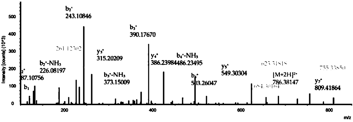 Immunoactive peptide in fermented milk as well as enrichment method and application thereof
