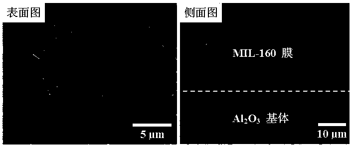 Metal-organic framework MIL-160 film, preparation method and application