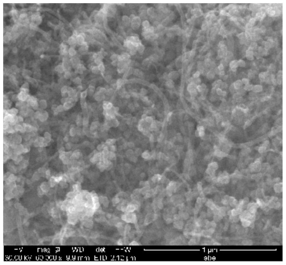 Carbon nanotube immobilized quaternary ammonium salt magnetic functional material and its preparation method and application