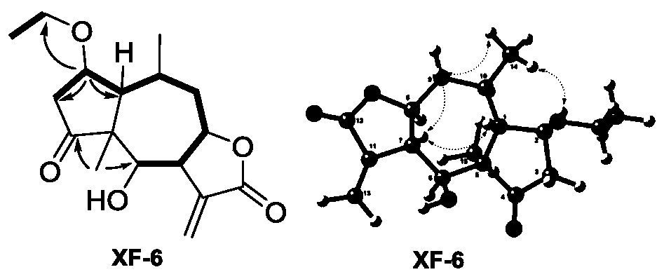 Sesquiterpene lactone compounds, preparation method thereof and application to preparation of NPC (nasopharyngeal carcinoma) preventing and treating drugs