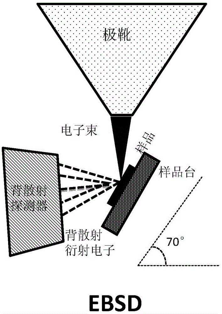 SEM transmission electron Kikuchi diffraction apparatus and analytical method