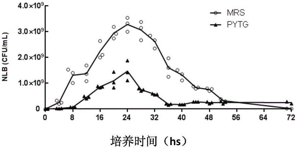 Probiotic solid-state starter for feeding Tenebrio molitor and preparation method thereof