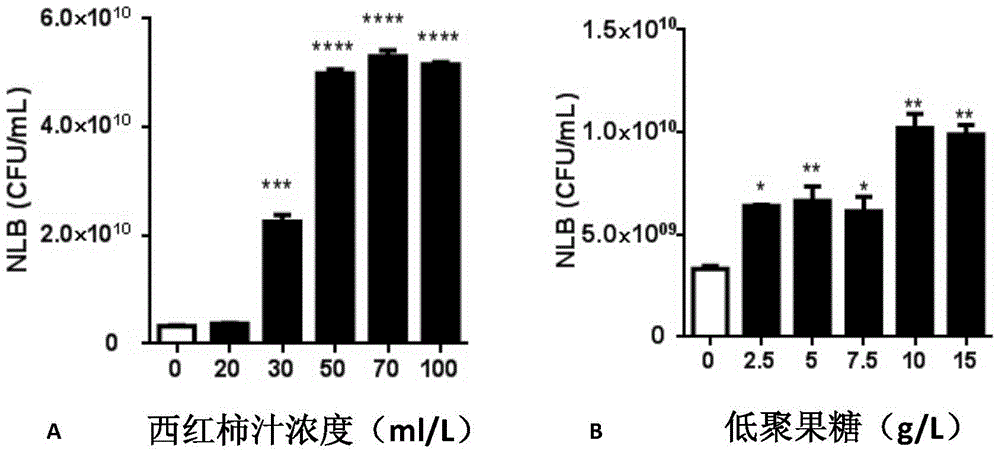 Probiotic solid-state starter for feeding Tenebrio molitor and preparation method thereof