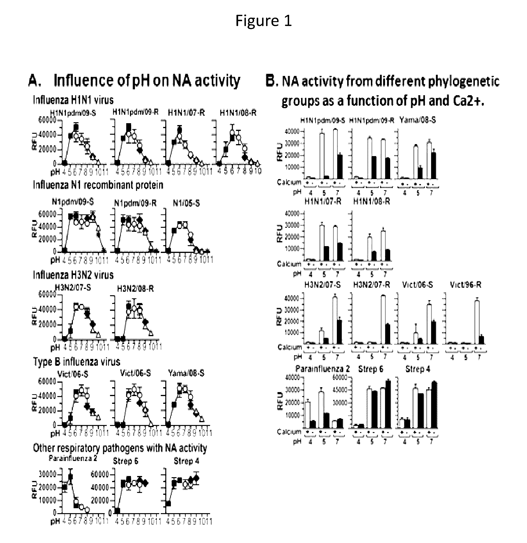 Methods of detecting influenza virus