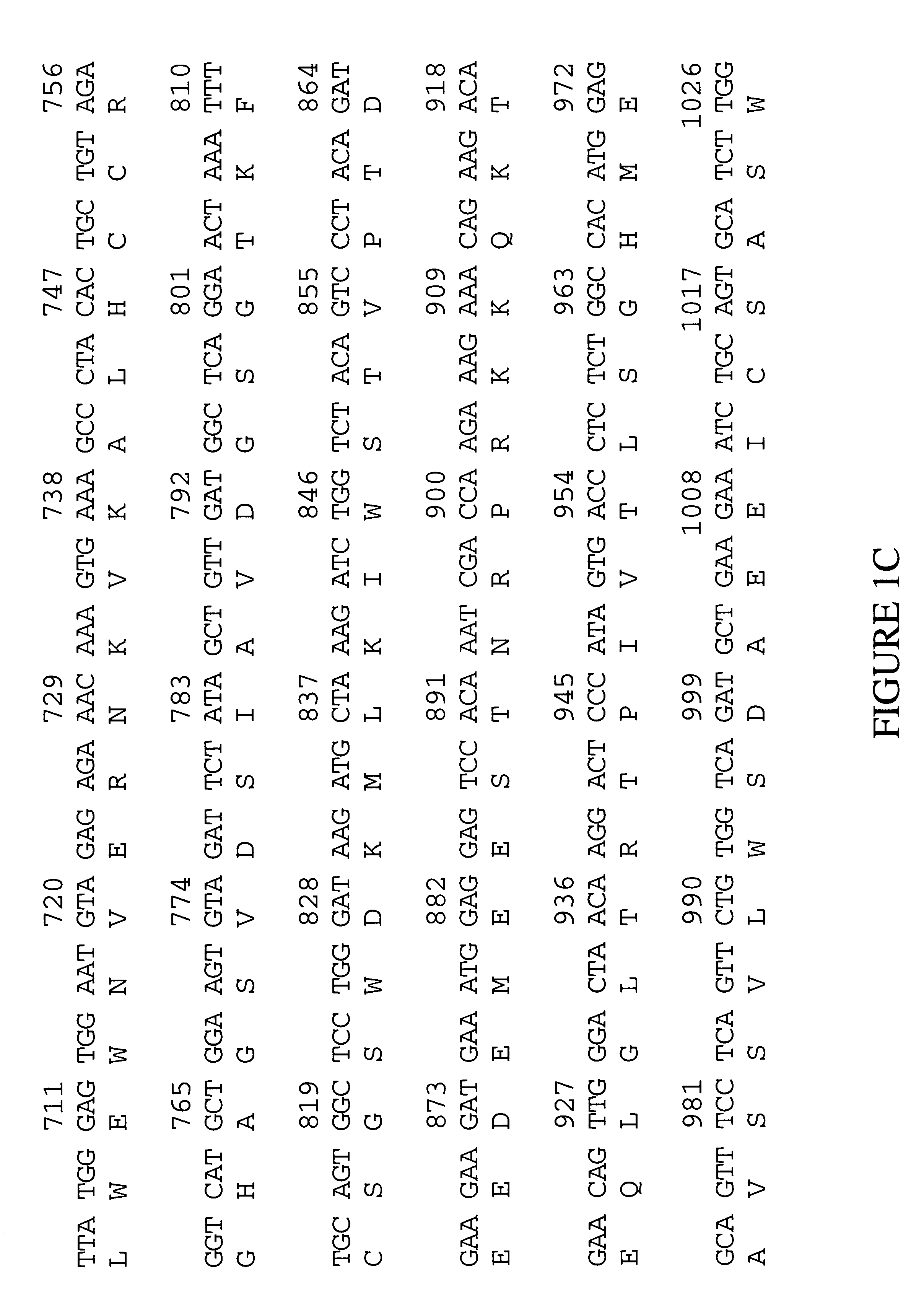 Microtubule-associated protein