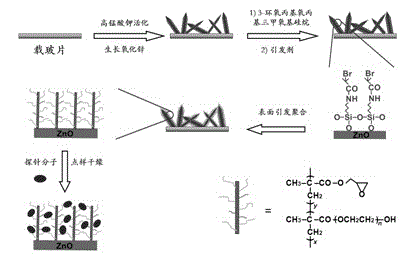 Three-dimensional carrier of microarray biochip and preparation method thereof