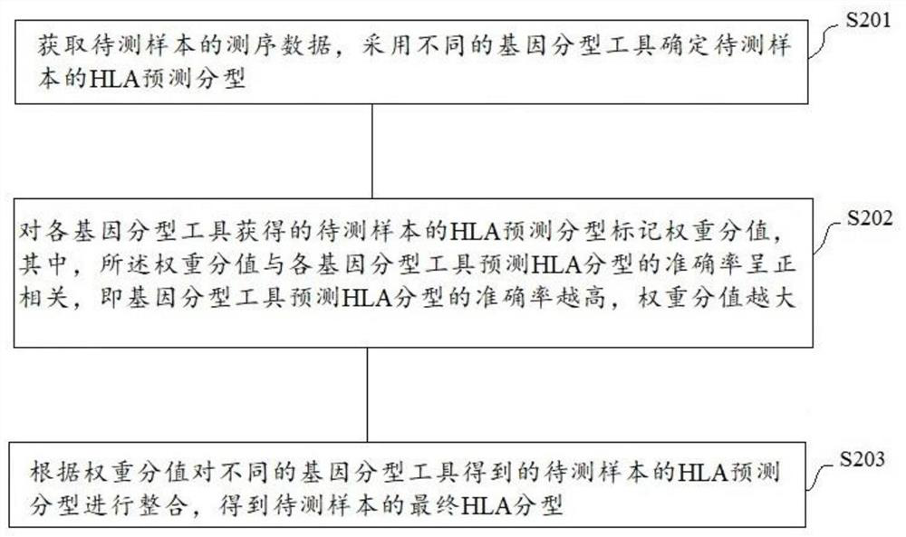 HLA genotyping method and device and storage medium