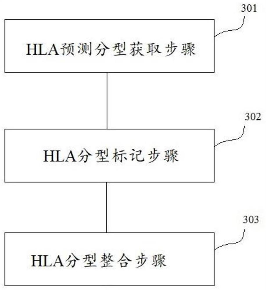 HLA genotyping method and device and storage medium