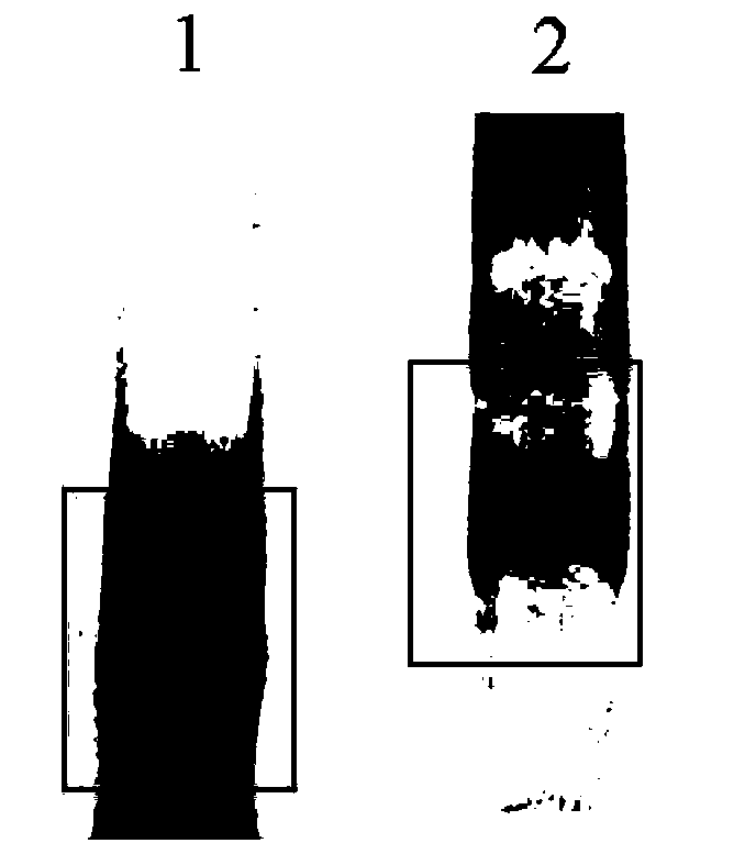 Method for detecting miRNA-21 by blood glucose meter based on dnazyme and sucrase