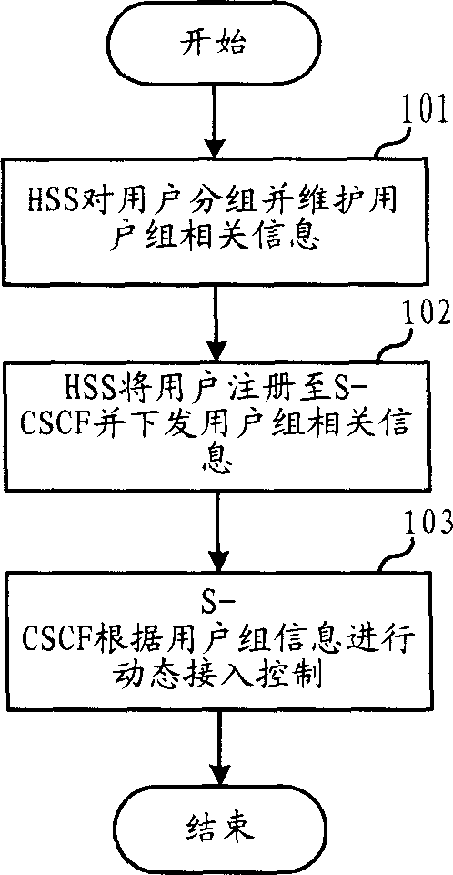 IP multimedia subsystem domain user access controlling method and its system