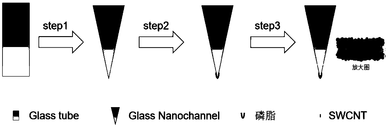 Preparation of compound glass nanopore and application of compound glass nanopore to biomolecular detection