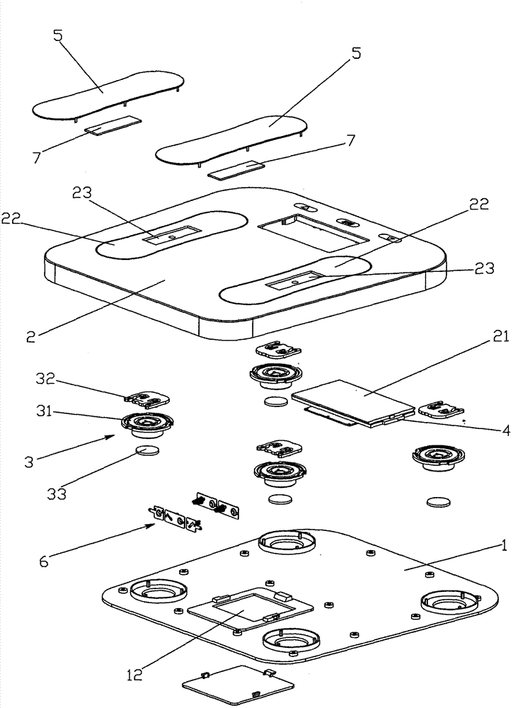 Fat scale capable of measuring foot temperature