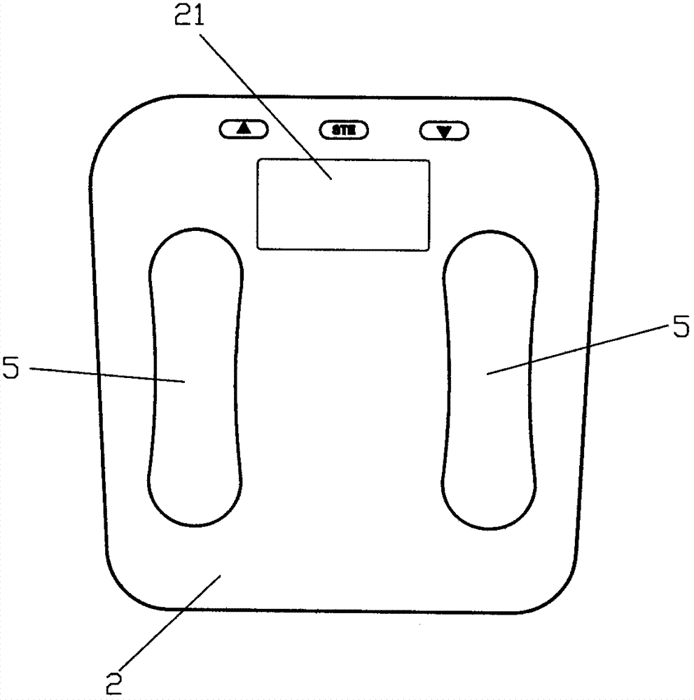 Fat scale capable of measuring foot temperature