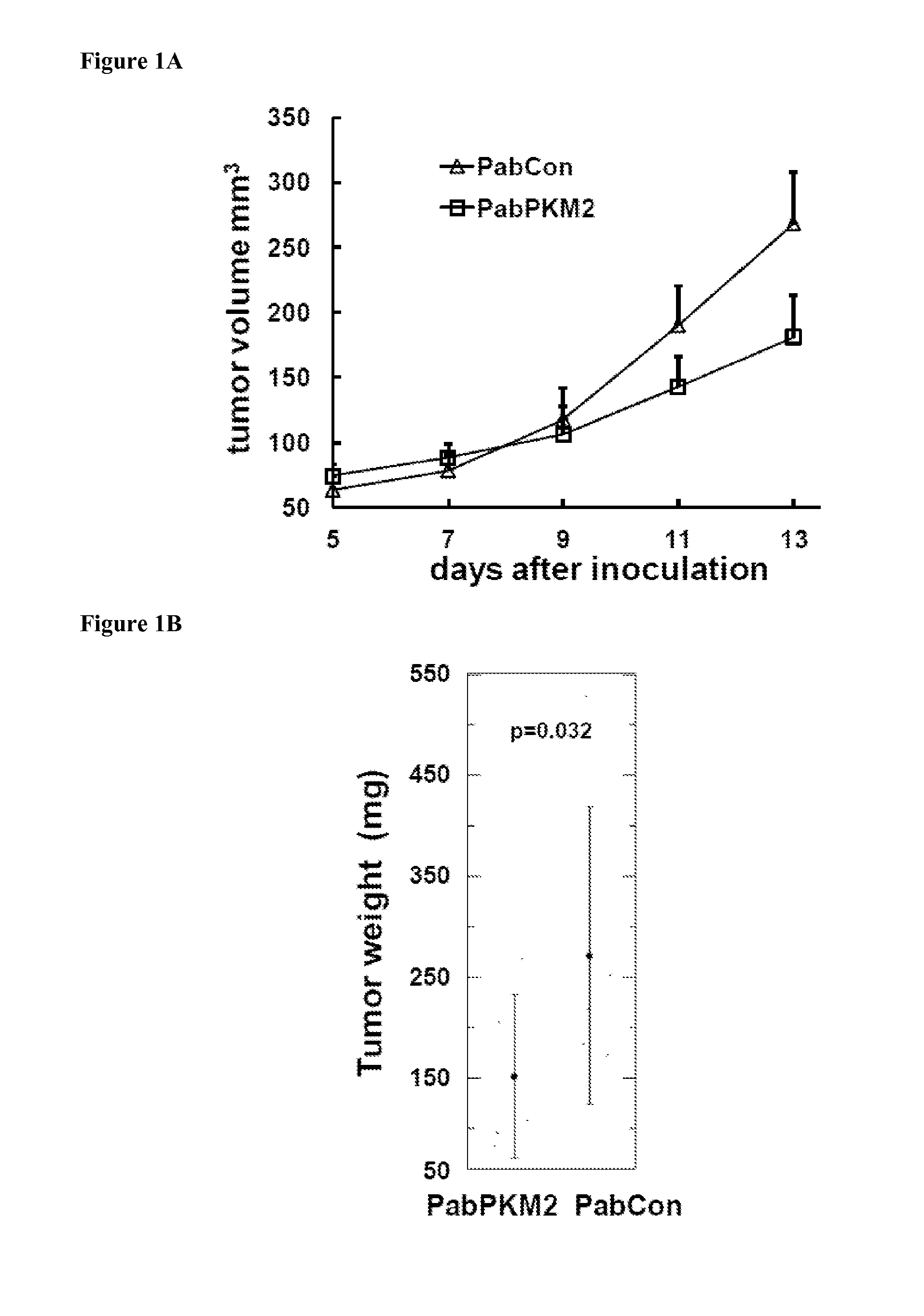 Pyruvate kinase m2 neutralizing antibodies for inhibiting angiogenesis