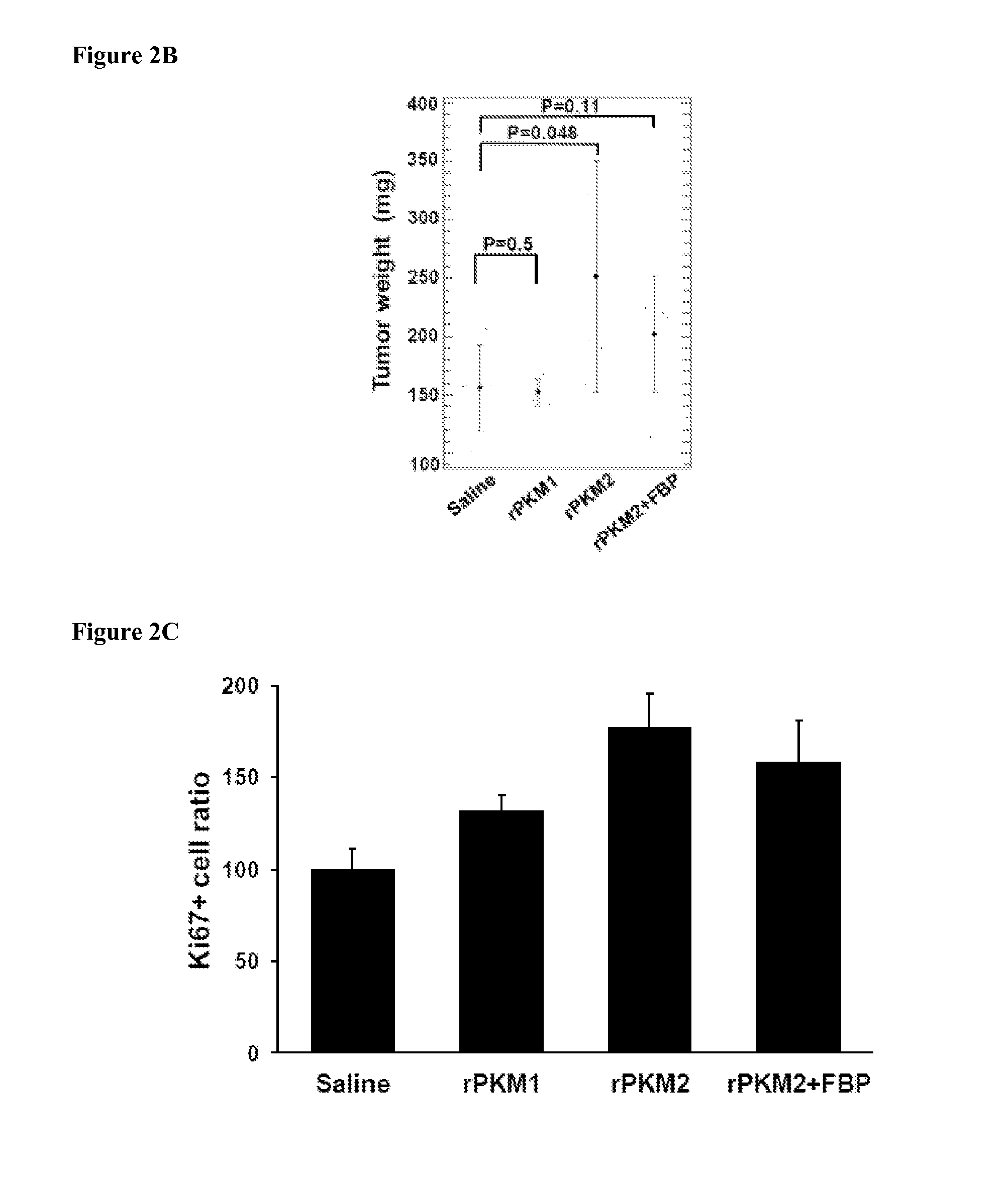 Pyruvate kinase m2 neutralizing antibodies for inhibiting angiogenesis