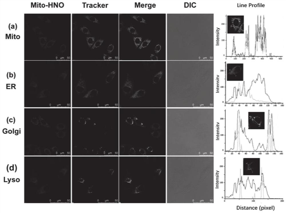 Fluorescent probe Mito-HNO, preparation method thereof and application of fluorescent probe Mito-HNO in detection of HNO in mitochondria