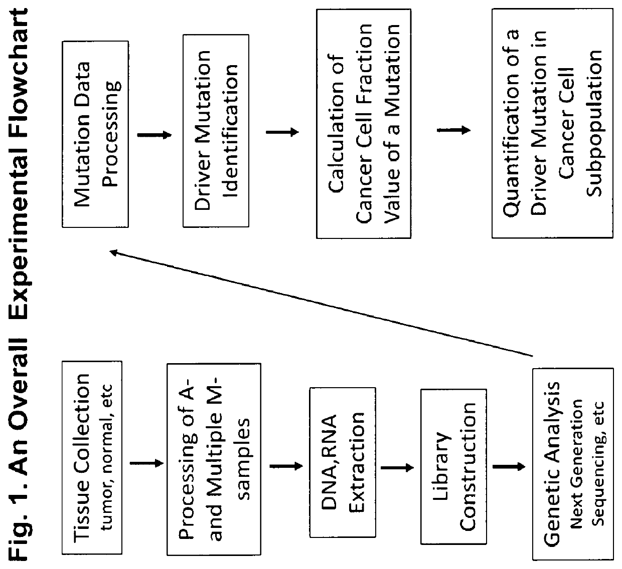 Methods for identification of driver mutations in a patient tumor by mutation processing based reconstruction of tumor developmental history