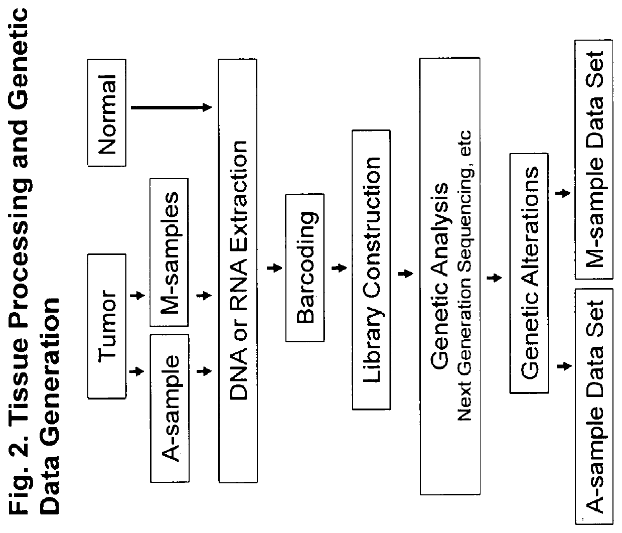 Methods for identification of driver mutations in a patient tumor by mutation processing based reconstruction of tumor developmental history