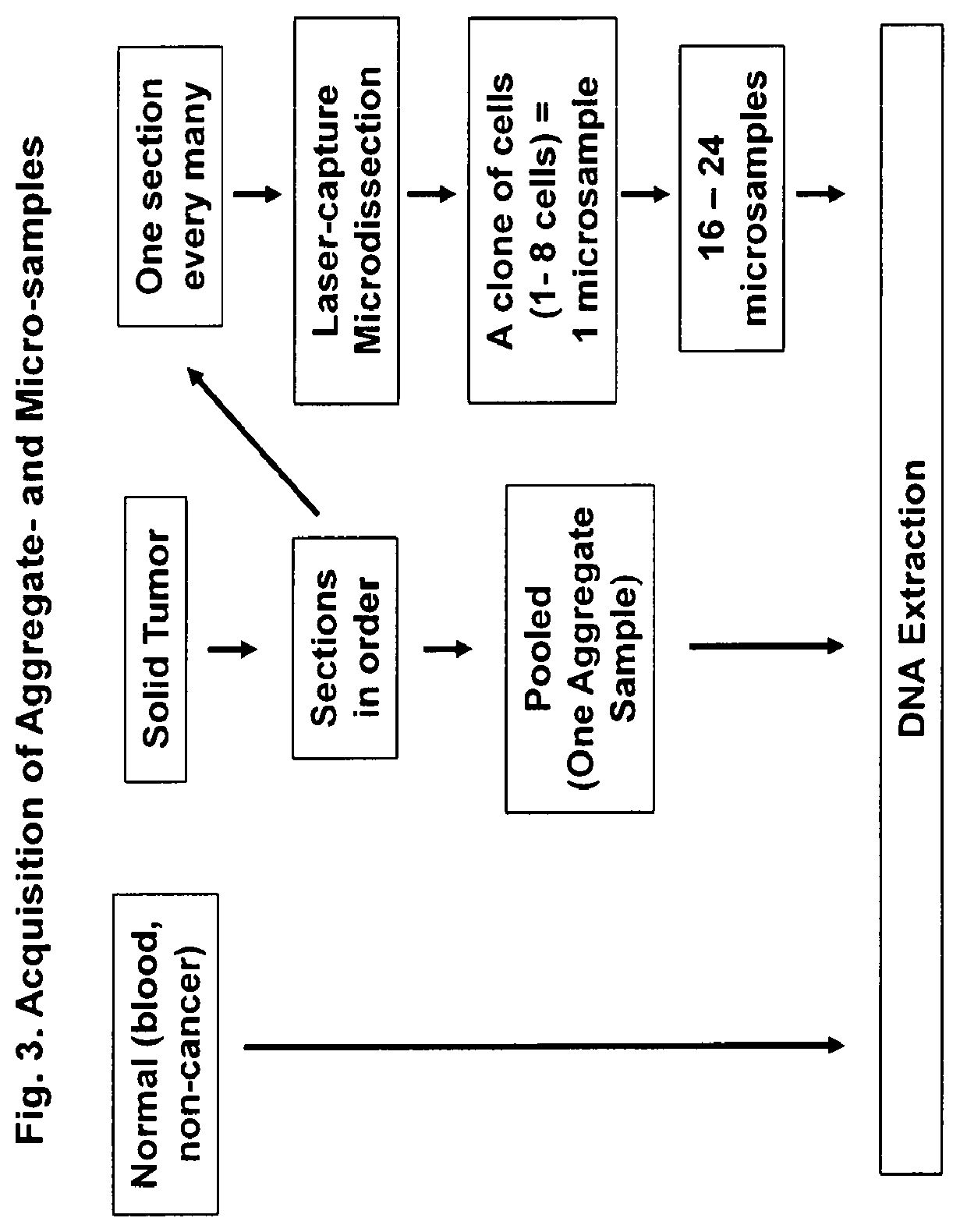 Methods for identification of driver mutations in a patient tumor by mutation processing based reconstruction of tumor developmental history