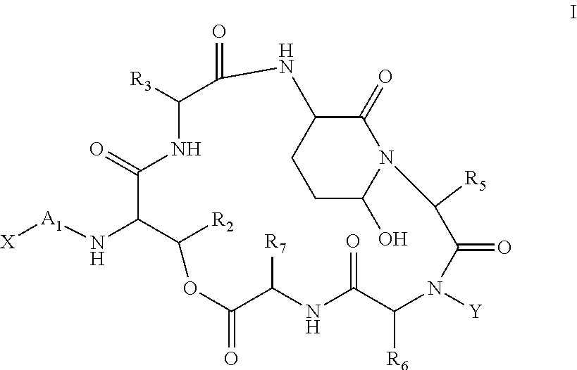 Solution Phase Processes for the Manufacture of Macrocyclic Depsipeptides and New Intermediates