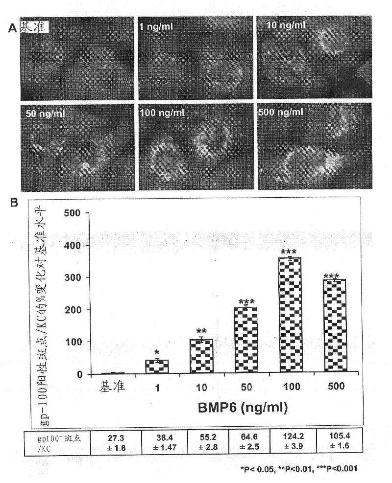 Compositions and methods for modulating skin pigmentation