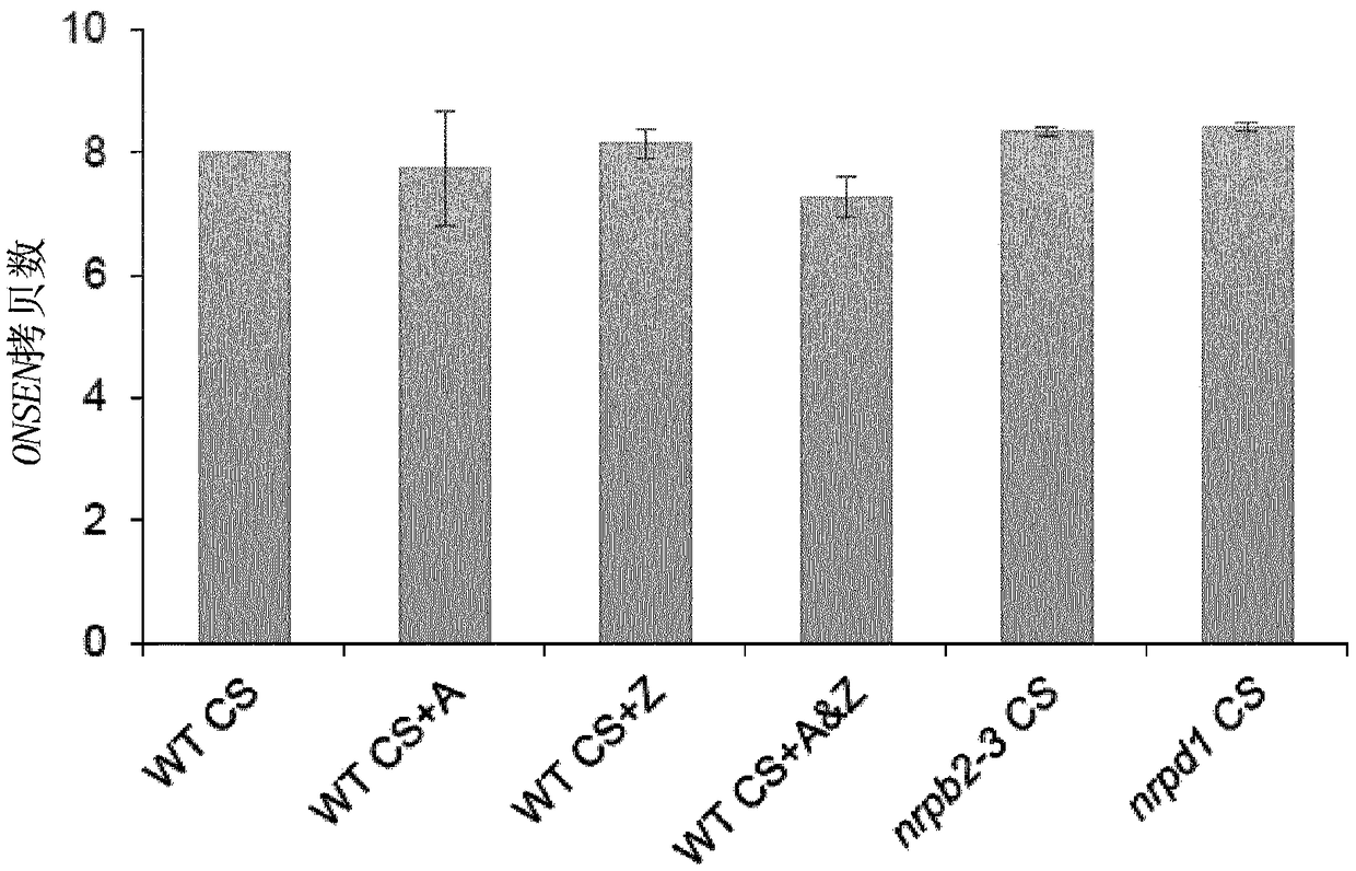 Mobilisation of transposable elements to enhance genetic and epigenetic variability in population