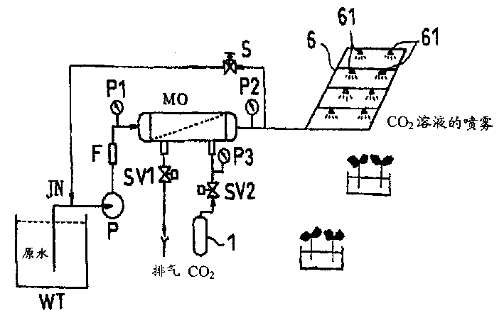 Method of producing rooted cutting of arboreous plant