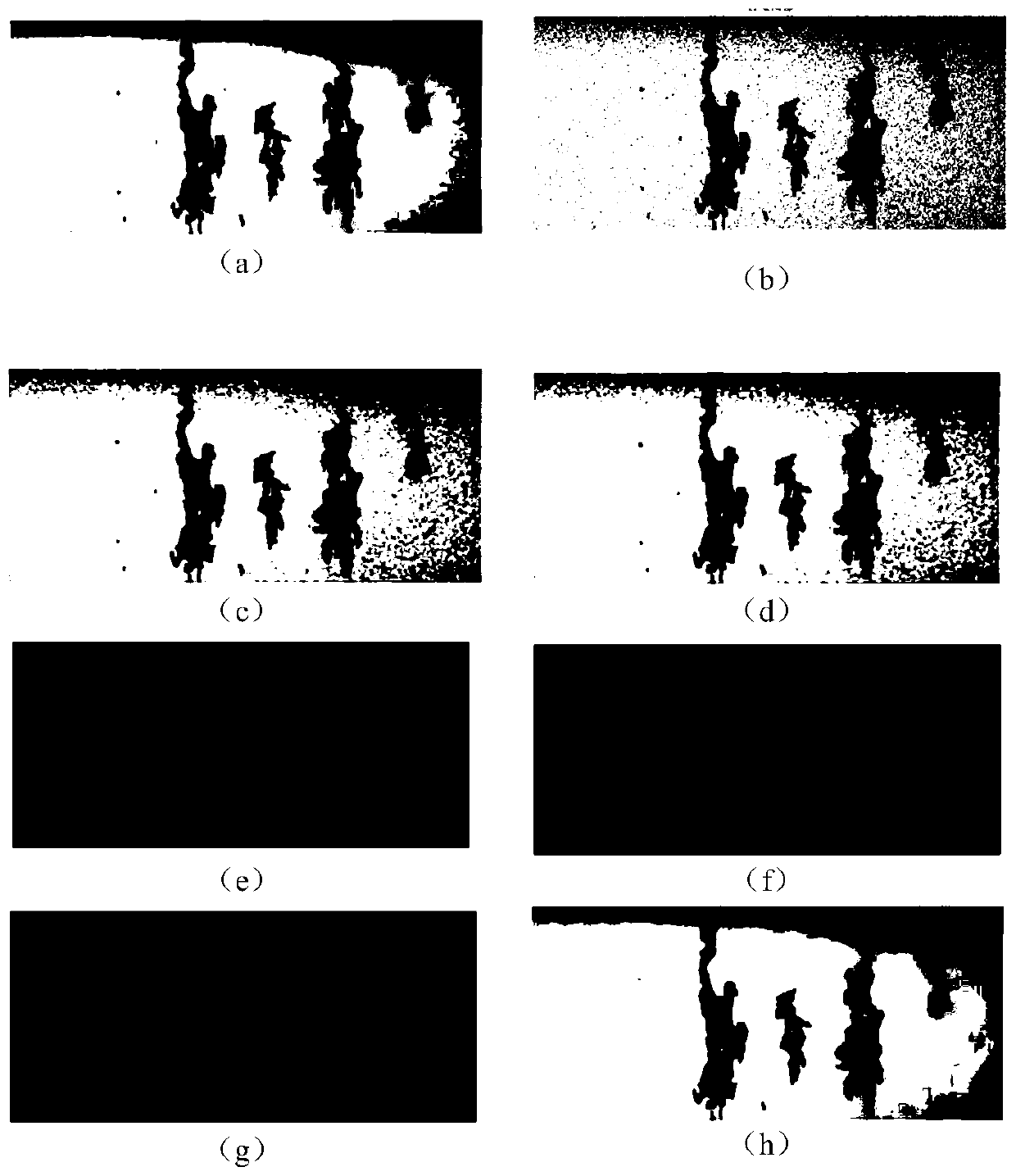 Online wear particle image data processing method
