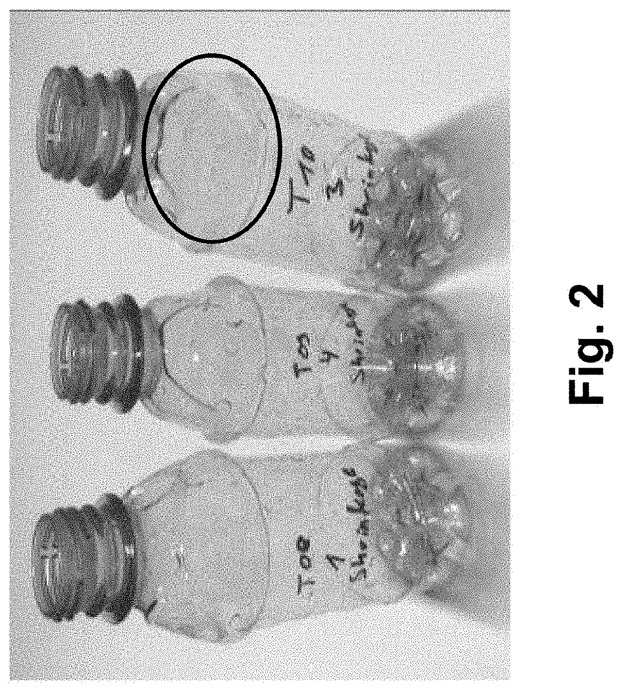 Method for fabricating a container and the container