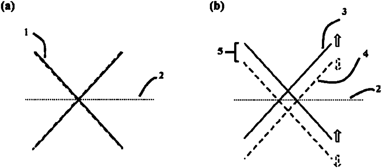 A graphene device producing spin polarization and its preparation method