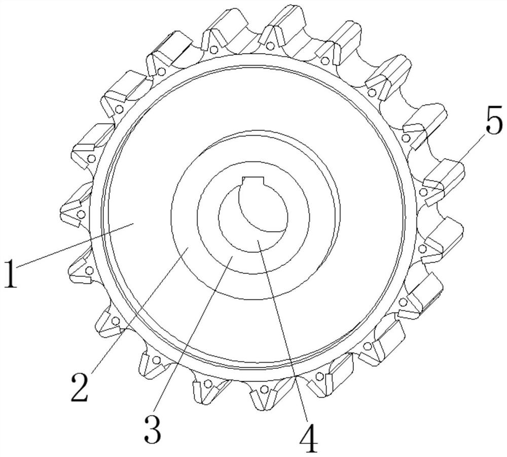 A gear with anti-vibration and wear-resistant functions