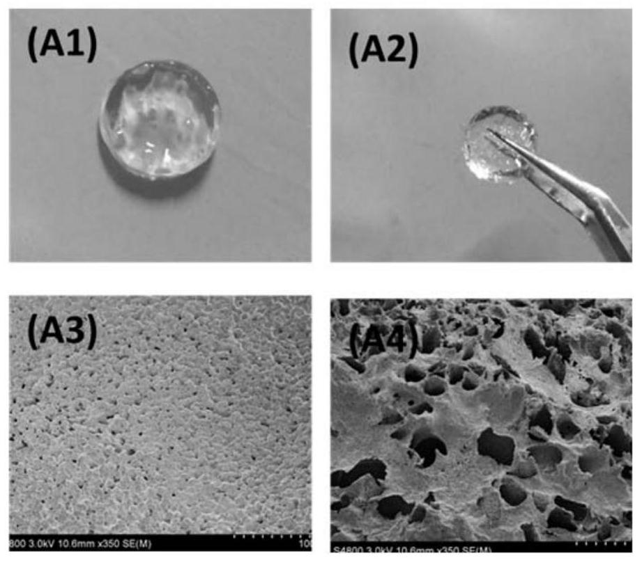 A kind of photosensitive polyethylene glycol-based antibacterial hydrogel dressing and preparation method thereof