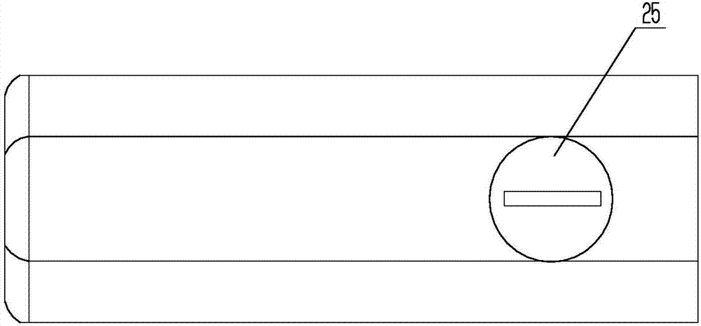 Mobile terminal with digital vein recognition device and digital vein recognition method