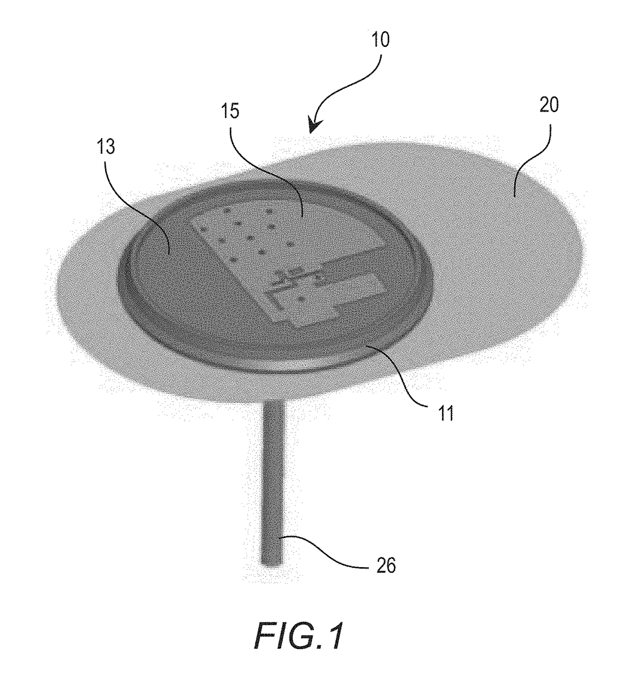 Low profile antenna module