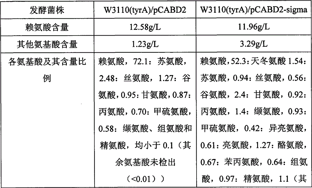 Method for preparing high purity lysine sulfate through fermenting