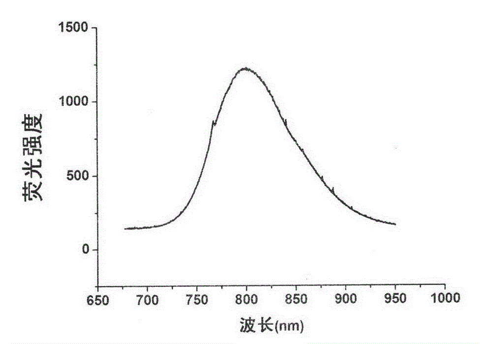 Near-infrared fluorescent nanoparticle in-vivo probe and preparation method thereof