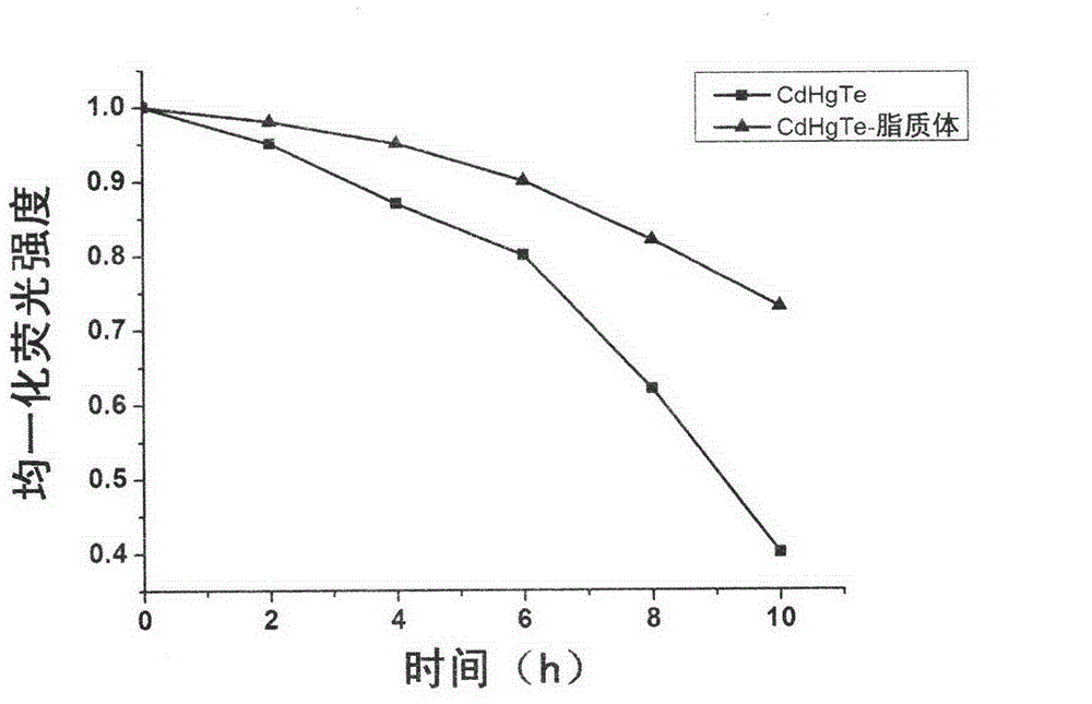 Near-infrared fluorescent nanoparticle in-vivo probe and preparation method thereof