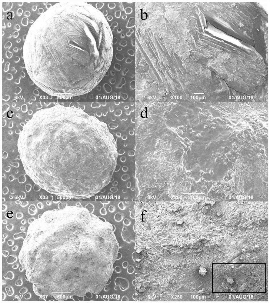 Coated slow-release fertilizer based on trace elements chelated by humic acid materials and its preparation method and application