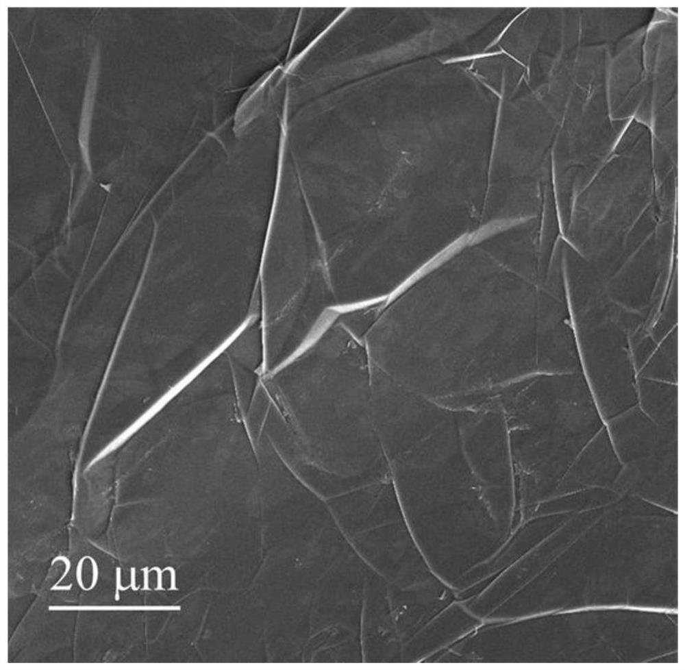 Self-supporting lithium metal anode and its preparation and application