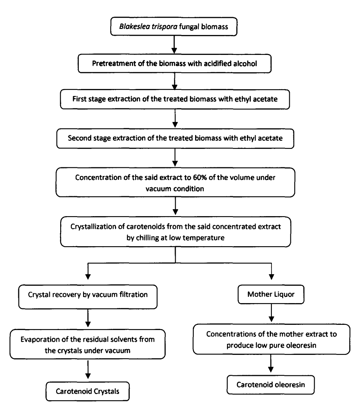 Process for production of high purity beta-carotene and lycopene crystals from fungal biomass