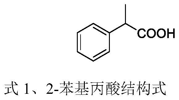 High-pressure synthesis method of 2-phenylpropionic acid