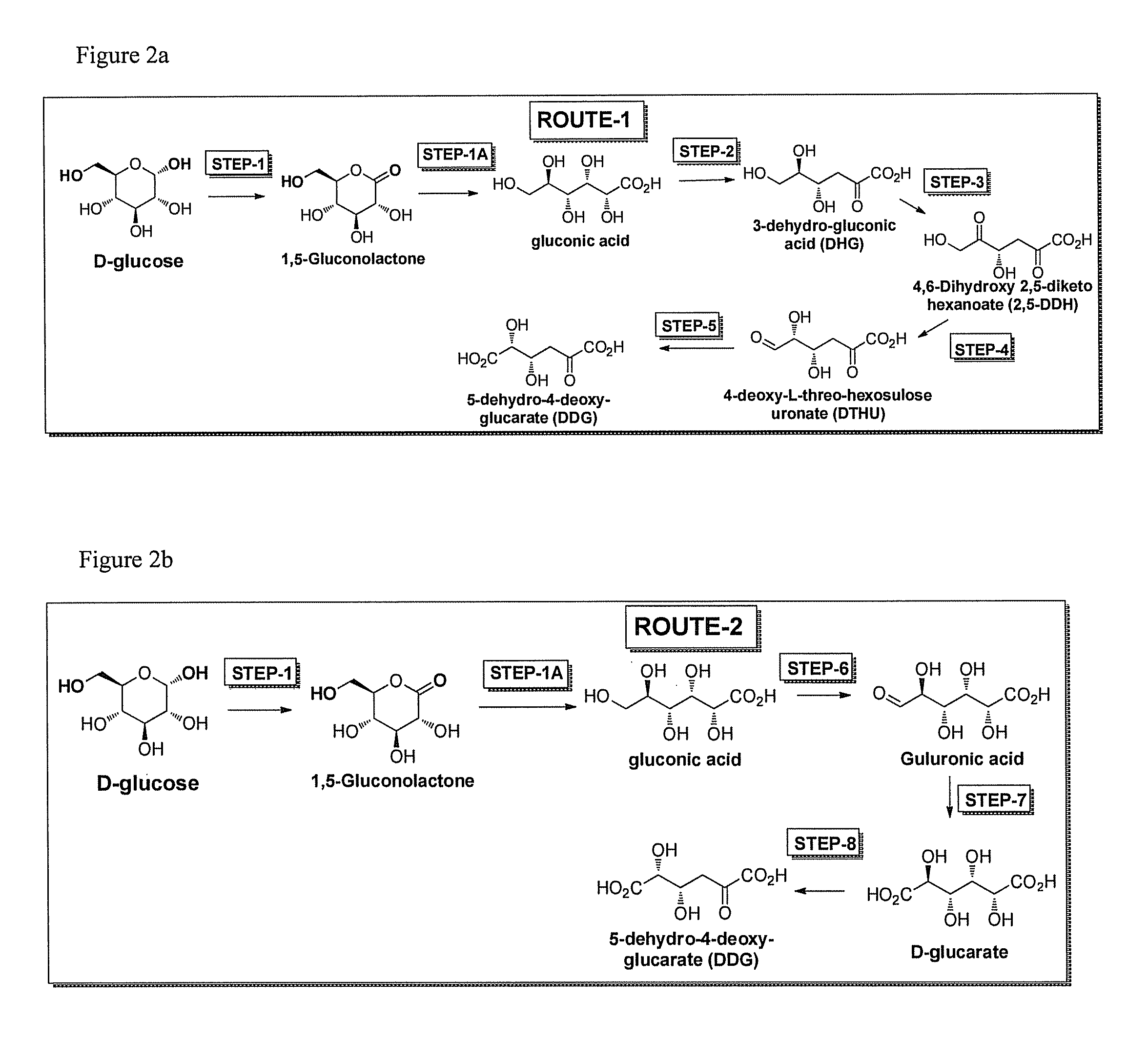 Compositions and methods for producing chemicals and derivatives thereof