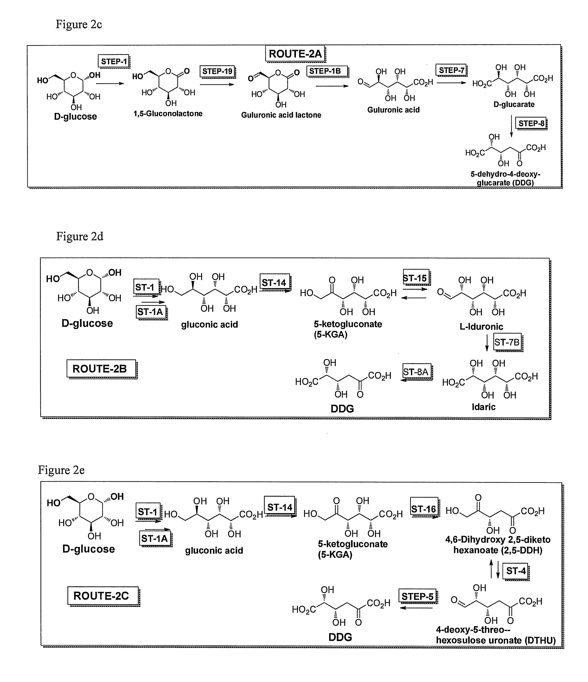 Compositions and methods for producing chemicals and derivatives thereof