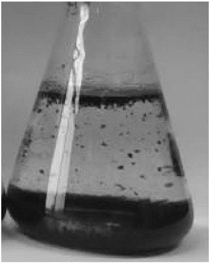 Preparation and application methods of polyaluminium chloride modified graphene oxide adsorbent